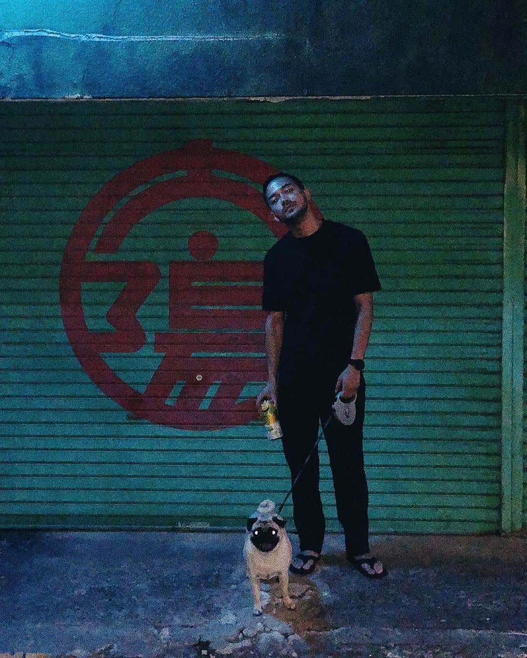 kaisakamotさんのインスタグラム写真 - (kaisakamotInstagram)「#散歩してて前からこの人来たら嫌だ #太陽 #パグ #pug #pugswag #pugslife #dogstagram #vsco #vscocam #walkingdead」7月6日 22時34分 - kaisakamot