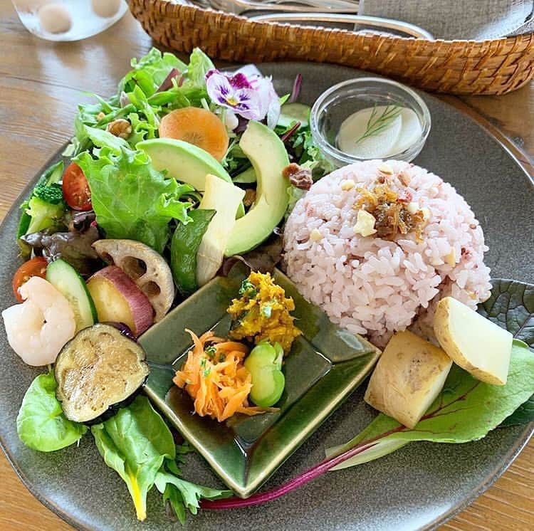 ベジ部(オーガニック/有機野菜/無農薬野菜) のインスタグラム