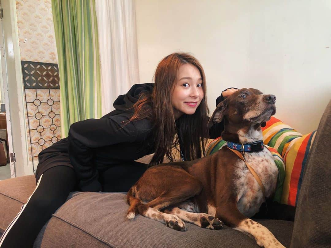 丹羽仁希さんのインスタグラム写真 - (丹羽仁希Instagram)「今日のスタジオにいたワンちゃん🐶 #何しても無視 #動じない #放置プレイ笑」7月6日 22時39分 - __niki22