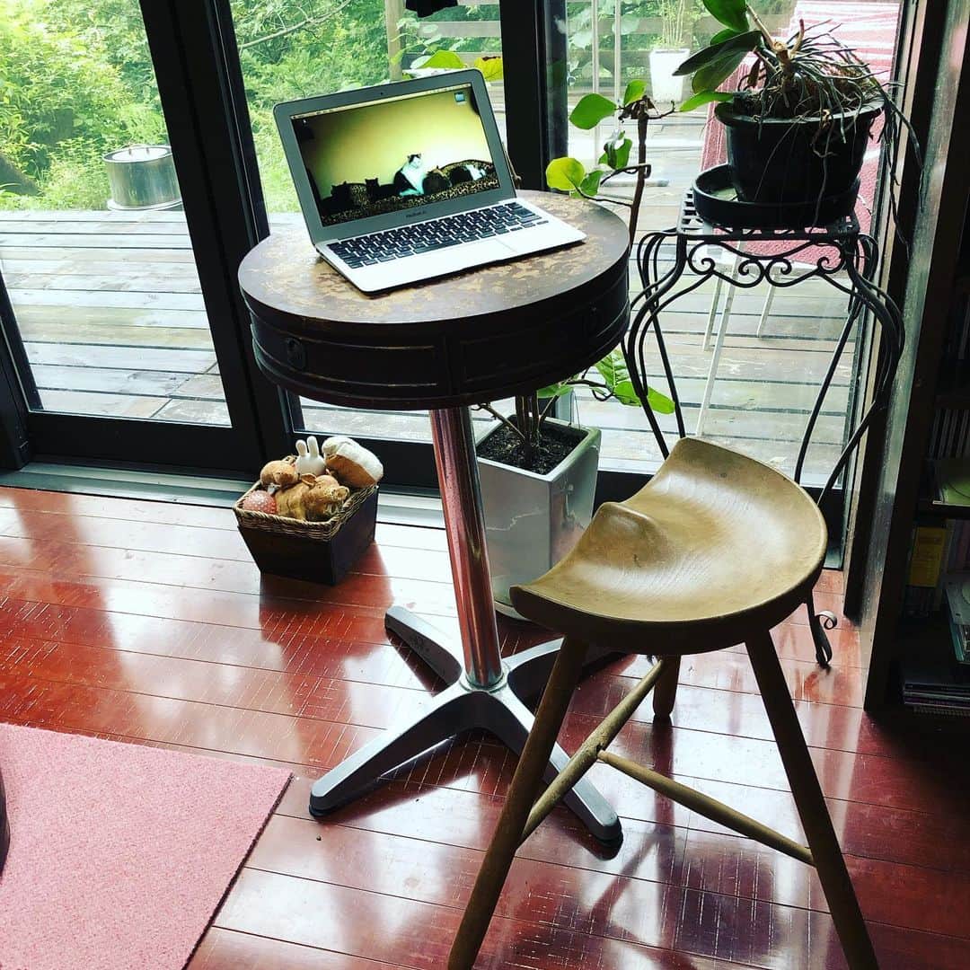 町田康さんのインスタグラム写真 - (町田康Instagram)「作業用の卓子を製作した。 俺は凄い男なのか？」7月6日 13時51分 - inunekosonota