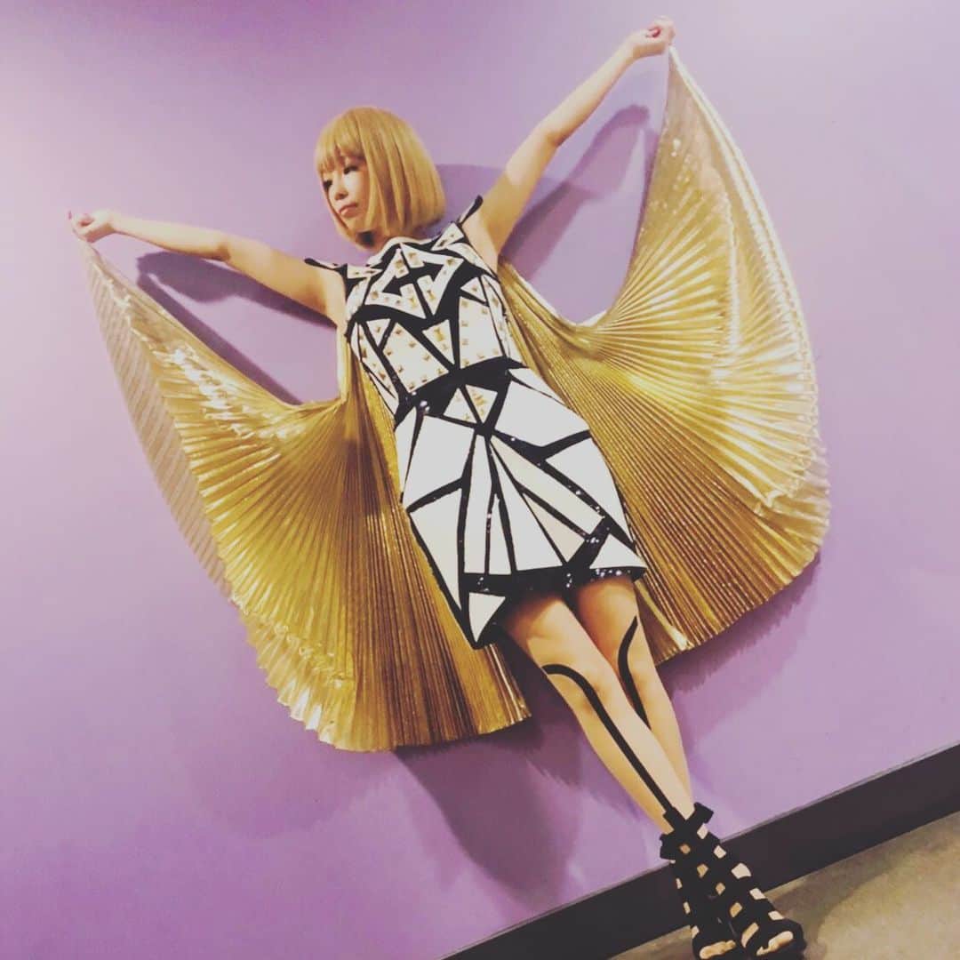 こしじまとしこのインスタグラム：「#otaquest #capsule #thenovo」