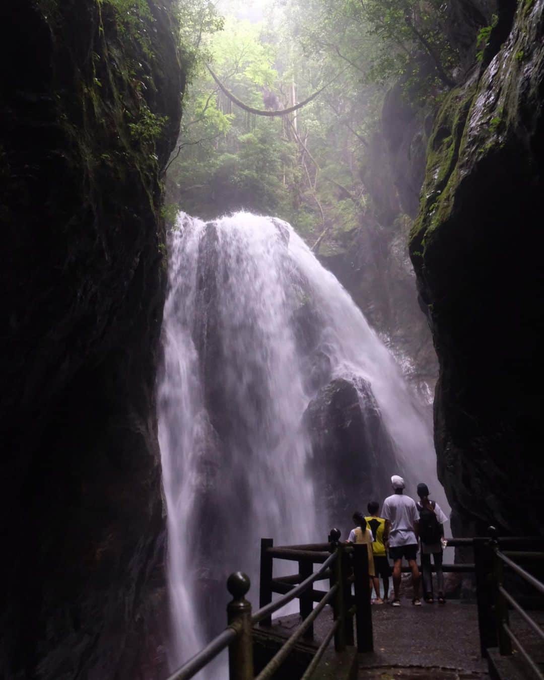 武智志穂さんのインスタグラム写真 - (武智志穂Instagram)「中津渓谷・雨竜の滝へ。﻿ （駐車場から歩いて片道約20分程。）﻿ 連日の雨で水量が増え、物凄い迫力🐉✨﻿ 道を曲がって滝が目に飛び込んできた時には思わず「うわぁ…」と感動の声が。﻿ みんなしばらくの間、畏敬の念を込めて見つめていました。﻿ ﻿ 滝までの道中も、青く澄んだ美しい川や苔むす森でデトックス☺️🌿﻿ 近くには日帰り温泉や旅館もあります♨️﻿ またひとつ高知にお気に入りスポットが増えました！﻿ ﻿ ﻿ #わたしの自慢の田舎 #高知 #志穂sTrip﻿﻿﻿ #中津渓谷 #雨竜の滝 #中津渓谷ゆの森 #仁淀川 #仁淀ブルー」7月6日 14時27分 - shiho_takechi