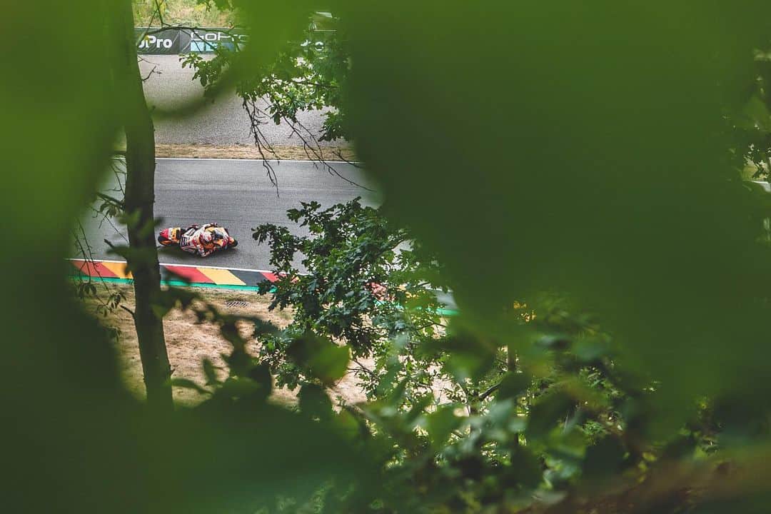 レプソル・ホンダのインスタグラム：「Let’s see what we find in the woods today 🐻」