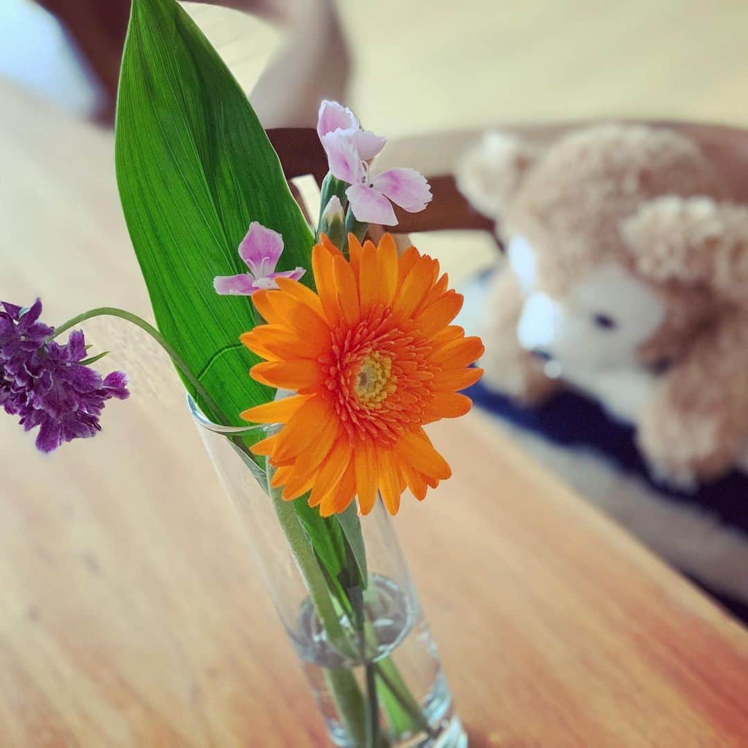 花奈澪さんのインスタグラム写真 - (花奈澪Instagram)「今回も🌷お花の定期便Bloomee LIFE( @bloomeelife )さんから、初夏のお花送って頂きました( ᷇ᵕ ᷆ )🌷﻿ ﻿ テーブルに一輪あるだけで心が和らぎますね！﻿ ﻿ やっぱりポストにお花が入ってる！﻿ ってすごい。ワクワクがすごい。﻿ ワンコインでちょっと優雅な気持ちになれる。おすすめ。﻿ ﻿ ﻿ 🌻初回お届け無料クーポン🌻﻿ ﻿ ***﻿ クーポンコード：ROSE576﻿ ※有効期限：2019年8月31日﻿ ***﻿ ﻿ #bloomeelife #花のある生活 #花が好き﻿」7月6日 14時43分 - namio_dao