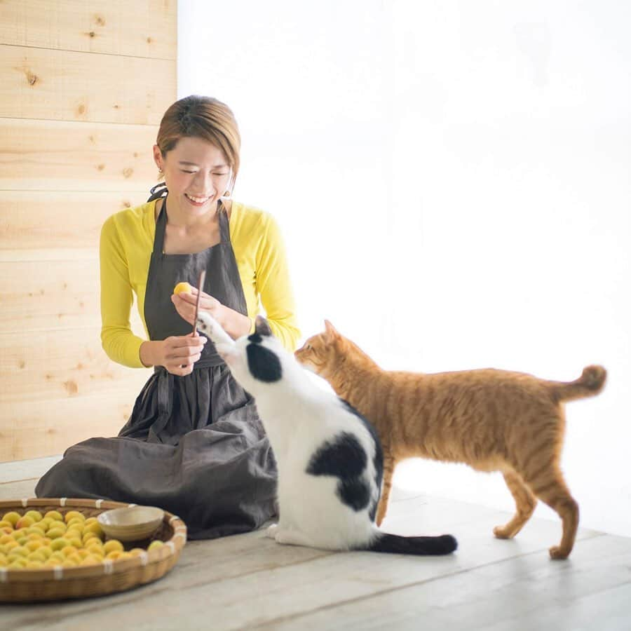 甲斐麻美さんのインスタグラム写真 - (甲斐麻美Instagram)「梅しごと中 片時も離れない お方  ペヤングの 厳しいチェックを受けながらホシ(軸)を取る作業  イチは初めて見る黄色い梅に興味津々で、コロコロしそうになるから笑ってしまった  今年も幸せな梅しごとが出来たよ  #犬と猫のいる暮らし #いぬとわたし #元保護猫  #梅 #南高梅 #ume #梅とわたし #〇〇とわたし #me #vegitable #fruits #food #sweets #homemade #foodstagram #フードスタグラム #art #野菜 #果物 #ときめき #sparkjoy #丁寧な暮らし #季節の手しごと #梅雨 #ルクルーゼ#husbandphotographer #エッセイ #わたしのエッセイ #嫁グラフィー #甲斐麻美」7月6日 15時10分 - kaico_asami