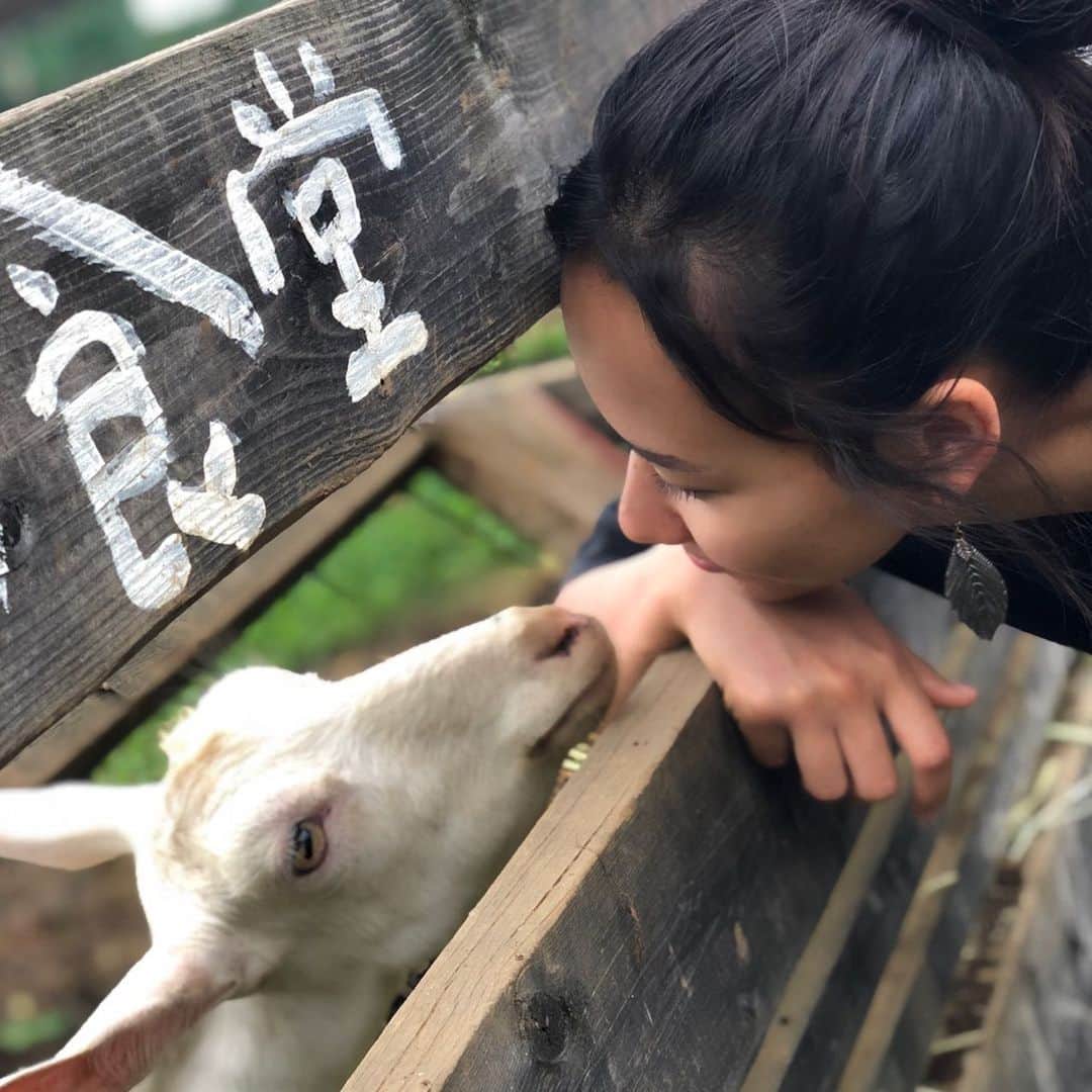 豊原江理佳のインスタグラム：「ヤギに会いに行きました🏃‍♀️ この子は実家のヤギではなくて東京の子なのですが、人懐こくて初対面ですぐに仲良くなれました☺︎名前を聞きそびれたので近々また会いに行こう🐐 実家の子も元気かな。会いたいな。 #ヤギ #一番の癒し #休日」