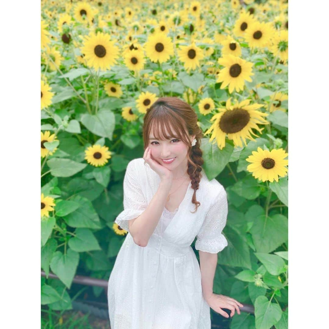 小越しほみさんのインスタグラム写真 - (小越しほみInstagram)「ひまわり咲いてた🌻🌻🌻 ・ #モーメント撮影会 #撮影会 #撮影 #shooting #model #ひまわり #向日葵 #ひまわり畑 #名古屋 #名城公園 #gogosing」7月6日 15時13分 - shihomi1129