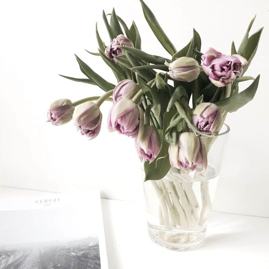 Florist.janeのインスタグラム