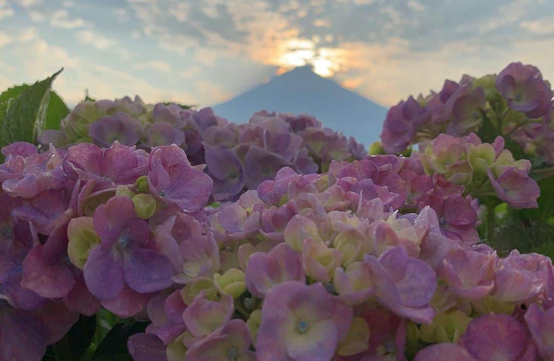 phantastic420のインスタグラム：「. 🤩🤩“Shizuoka” prefecture in Japan is a place where you can see the most “phantastic” Mt. Fuji🗻 in the world.🤩 #富士山 #mtfuji #japan #fujinomiya  #phantastic420photography #mostphantasticmtfuji #selamatpagi  #goodmorning  #おはようございます 😇😇😇😇😇😇😇🗻😇😇 #rwc2019_moment #rwc2019フォトコン #shizuoka  @make_the_moment」