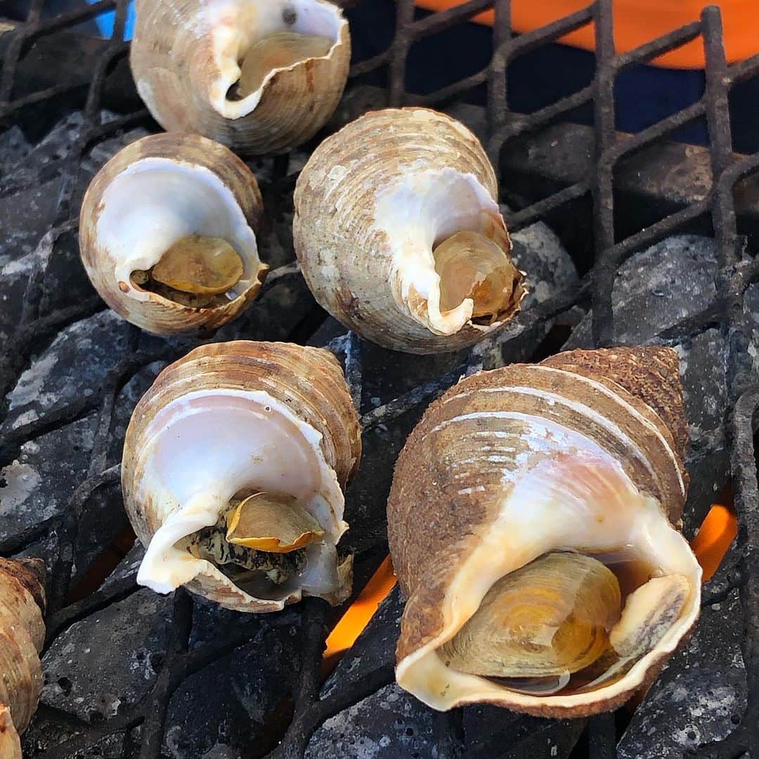 のインスタグラム：「こんばんは。白糠町食と食材PR大使のアンジェラです！  明日はサッポロビール園のサッポロガーデンパークで開催してる「道産子感謝DAY」の白糠ブースで美味しい白糠グルメを販売いたしまーす*˙︶˙*)ﾉ"  数量限定で179市町村北海道おむすびシリーズの｢白糠町 究極の柳たこむす｣「灯台つぶ焼き 250円」と「鍛高ラムネ 150円」を販売いたします！ 私も今日白糠ブースに遊びに行った時灯台つぶをたべましたが、なまら美味しい！白糠の灯台つぶは旨みが強いんですよ～( *´艸`) 白糠グルメを食べたい方は明日7月7日「道産子感謝DAY」サッポロガーデンパーク会場（札幌市東区北7条東9丁目）に来てくださいね！ 明日は10時～16時まで開催です！私は終日 白糠ブースで皆様のお越しをおまちしてまーす(´﹀｀)」