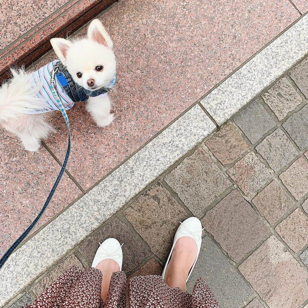 神尾美沙のインスタグラム