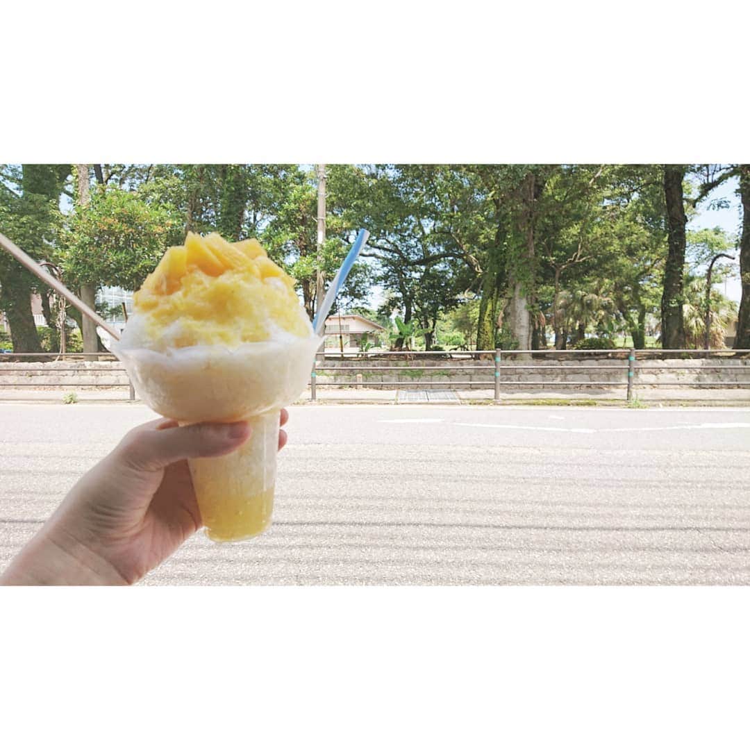 加藤沙知さんのインスタグラム写真 - (加藤沙知Instagram)「かき氷が美味しい季節です。  #かき氷 #パイナップル #休日 #沢山話して笑いました」7月6日 18時15分 - mrt.kato