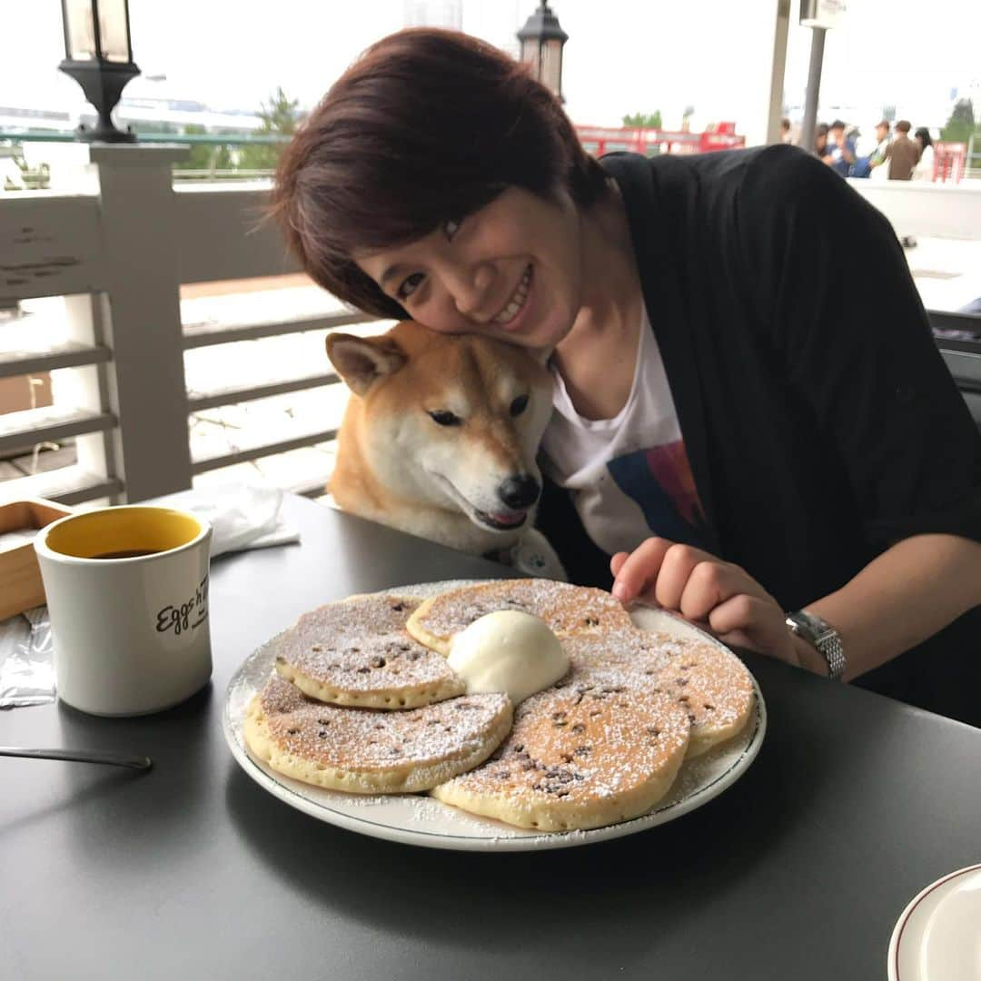 高橋みゆきさんのインスタグラム写真 - (高橋みゆきInstagram)「パンケーキ🥞食べた🎶パンケーキ🥞食べた🎶 #パンケーキ #チョコ #クラ吉」7月6日 18時22分 - shin_miyukichi