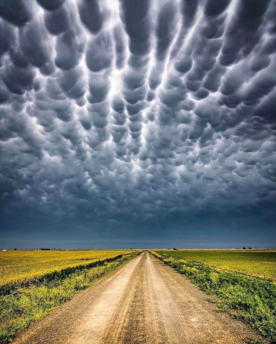 Canon Photographyさんのインスタグラム写真 - (Canon PhotographyInstagram)「Another crazy amazing Mammatus cloud display seen in Texas. Just wow! Have you ever seen these clouds before? Let us know down below.  Photography | @adamkylejackson  #texas #stormchasing #mammatus #cloudporn #skyporn #thunderstorm #clouds」7月6日 19時26分 - cpcollectives