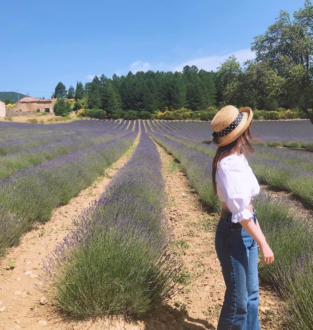 えのきどひろのさんのインスタグラム写真 - (えのきどひろのInstagram)「Lavender fields💜 パリで現場を終えたその足でアヴィニョンに移った☺️（めちゃくちゃバタバタだった笑） ラベンダー畑が写真で見てたより実物の景色がめちゃくちゃ綺麗で感動した😭✨ みんなでピクニックもした🥪🥖 帰り道は死ぬかと思うくらい暑かったけど行きのドライブは間違いなく人生で一番最高のドライブだった！ フランスの田舎ほんとうに大好き住める住める 南フランスの海を見たかったからニースやカンヌに行きたかったけど、街も家も可愛くて人もみんな優しくてアヴィニョン最高だった😆また行きたい😍💜 #avignon#lavenders#lavenderfields」7月6日 19時36分 - hirono.nyan.xoxo