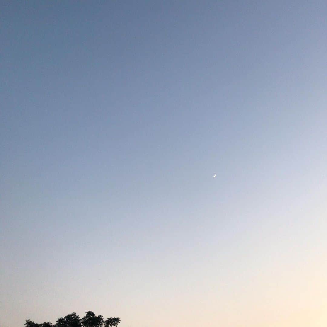 今田美奈さんのインスタグラム写真 - (今田美奈Instagram)7月6日 19時47分 - _minaimd.j_