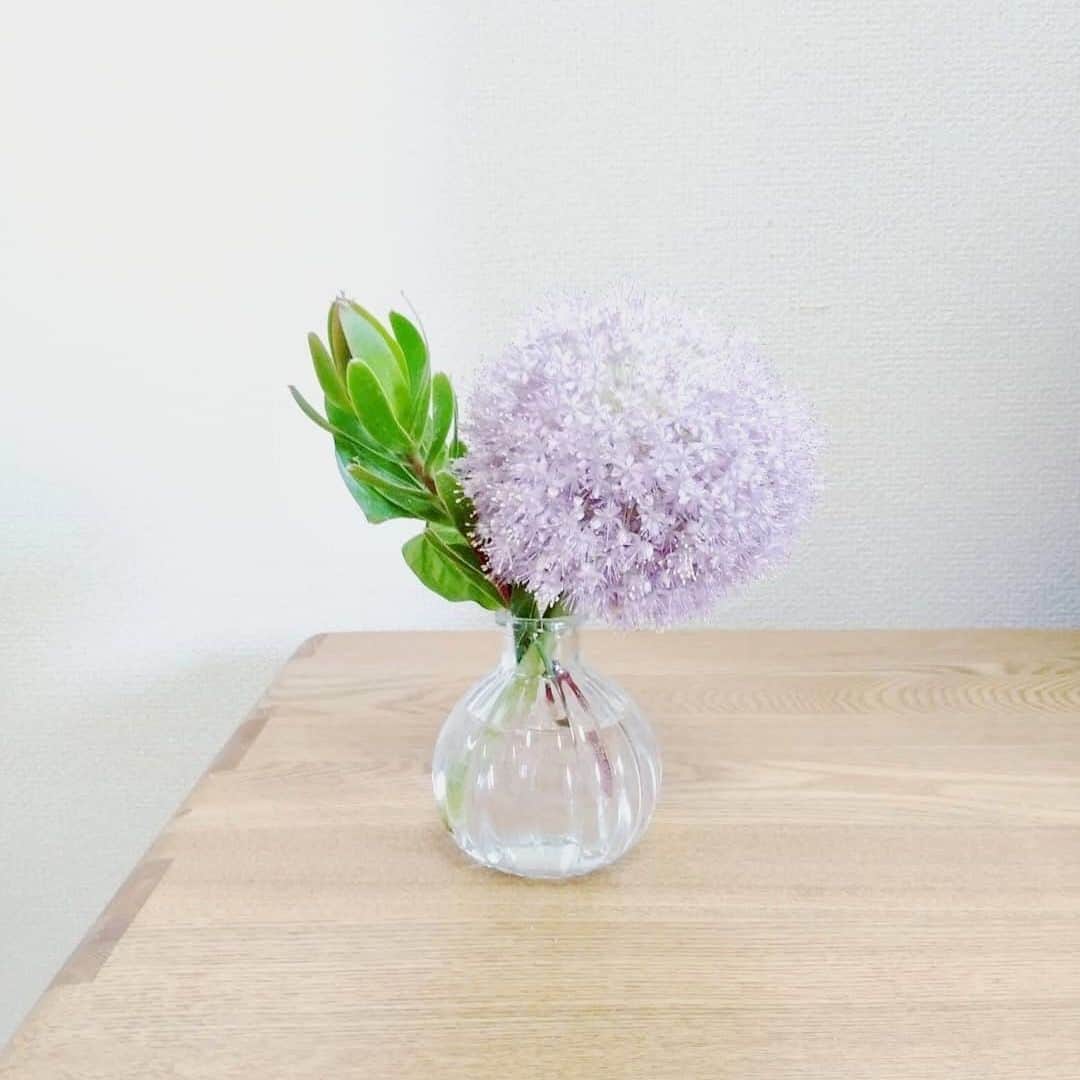 Bloomee LIFEさんのインスタグラム写真 - (Bloomee LIFEInstagram)「・⠀ 雨のしずくを集めたような⠀ 薄紫色のアリウム・ギガンジューム❄️⠀ ⠀ リビングに飾ると、⠀ まるで「梅雨」を眺めているような気分を⠀ 楽しめそうです🌸⠀ ・⠀ Special Thanks Photo by⠀⠀⠀ @11ch17co⠀ ・⠀ #bloomeelife#ブルーミーライフ#花のある生活#花好きな人と繋がりたい#おうち時間#花部#花写真#花が好き#花を飾る#暮らしを楽しむ#日々の暮らし#丁寧な暮らし#日々#お花のある暮らし#ナチュラル#素敵な休日#暮らしを整える#くらしのきほん#日々の暮らしを楽しむ#丁寧に暮らす#女子力向上委員会#すっきり暮らす#フラワーベース#シンプルに暮らす#賃貸インテリア#リビング#こどものいる暮らし#リビングインテリア#ナチュラルインテリア#北欧インテリア」7月6日 20時00分 - bloomee