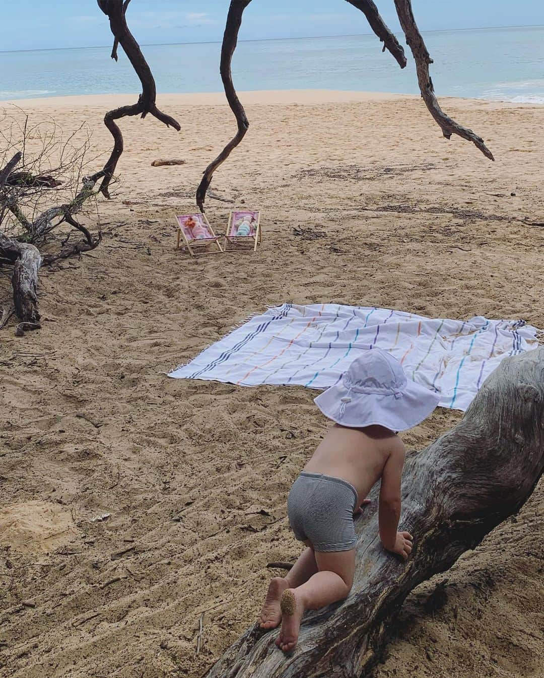 吉川ひなのさんのインスタグラム写真 - (吉川ひなのInstagram)「Hawaiiでの夏休み前半、子どもたちが毎日泥んこになって遊んで、それを見ているのがなにより満たされるわたしの心💘  歩けるようになって、少しずつ色んなことができるようになってきた息子も、海や、土や、木や、花と毎日自分なりに熱中して遊んでる🐛🦋🐞🐜🦎🐝 ・ 娘は、ネイルにも興味があるし 好きな男の子もなんとなくいるし キラキラしたかわいいものにも興味がある  でもそんな少し背伸びした興味も、大自然には全然敵わなくて、キラキラより木登りだし、ネイルより泥だんごだし、好きな男の子よりお魚やお花を目の前にしたらやっぱりまだまだそっちに夢中🥰  もちろん成長の中で自然と興味が湧くものを押さえつけたりはしないけど、環境で大きく左右するなら、わたしは子どもたちにわたしのできる限りで大自然を提供していたい。  いまは拠点がLAだけど、 Hawaiiはやっぱり最高な環境だなって改めて思った❤︎ ・ いつかHawaiiで子どもたちを大自然の中遊ばせる、遊びながら学ぶサマースクール？サマーキャンプ？ができたらいいなー❣️ もちろんそれって責任重大だし、きちんと資格を持ったプロの手も借りながら、、♥️ もしそれがいつか実現したら、みんな、そのサマーキャンプに参加してくれる？！😊」7月7日 6時50分 - hinanoyoshikawa