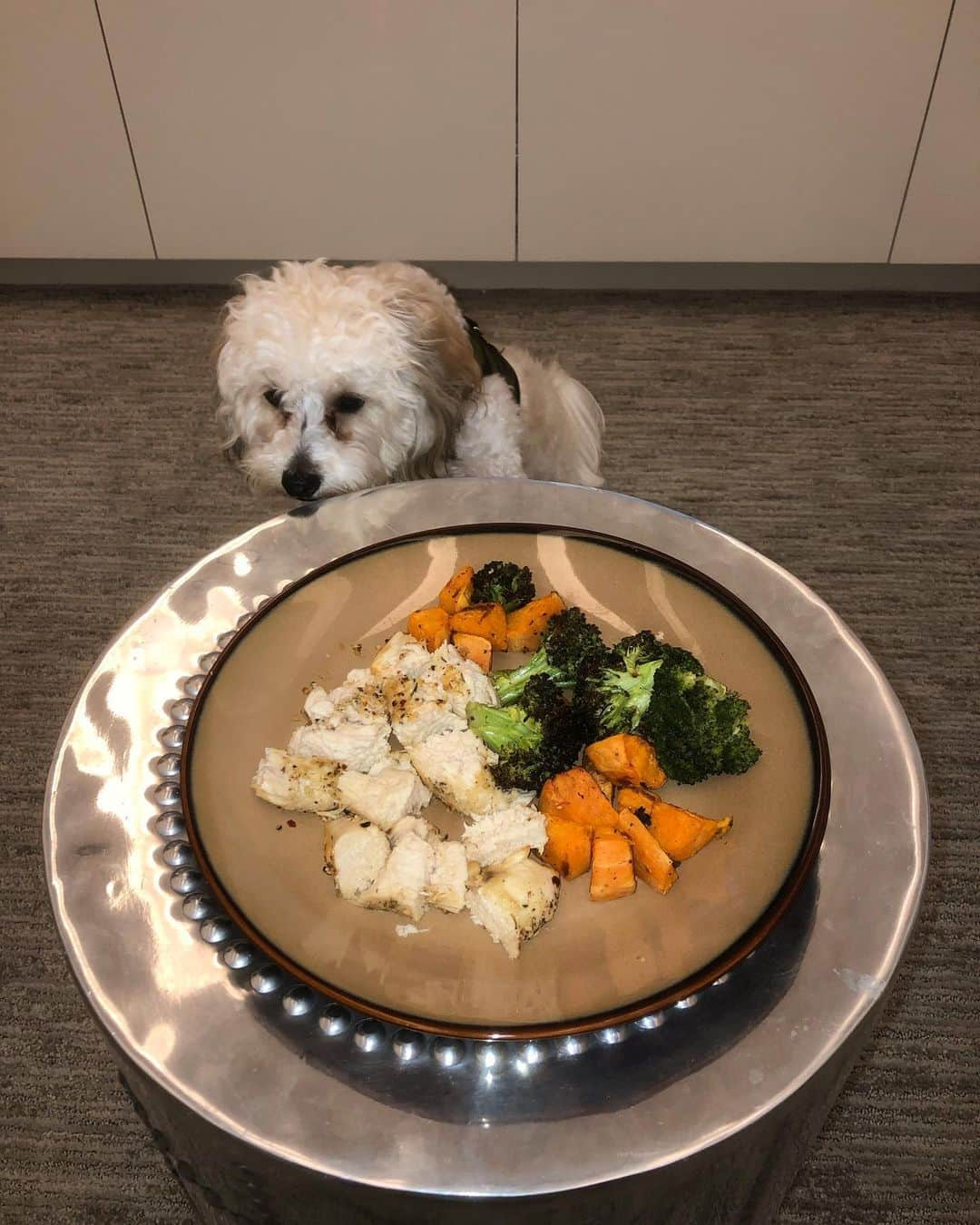 レクシー・トンプソンさんのインスタグラム写真 - (レクシー・トンプソンInstagram)「Dinner for 1...and 1/2 lol. Was home two weeks and never cooked a meal for myself, was either with my family or went out to eat with friends. Finally made a meal for myself and now I leave in a day 😂」7月7日 7時22分 - lexi