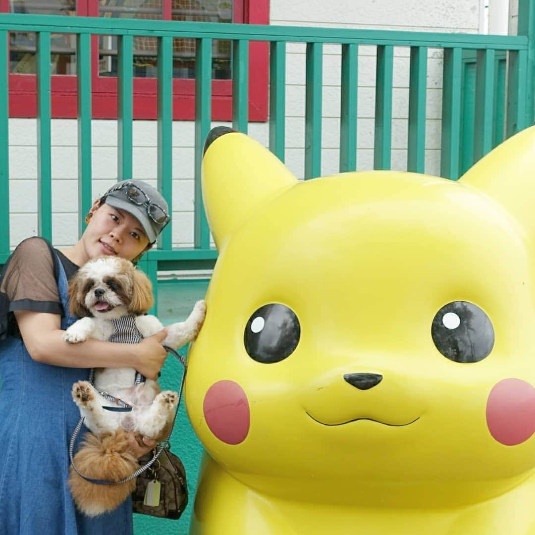 川面千晶さんのインスタグラム写真 - (川面千晶Instagram)「ワンコも入れる生駒山上遊園地🎠🐶 トッポはじめてロープウェイに乗って遊園地に行きました😊 涼しい日だったからあんまりハァハァならずに行けたね〜✨ #シーズー #生駒山上遊園地 #メルヘンおじさん」7月7日 7時35分 - chankawamo