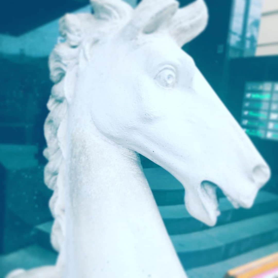 中野敬久さんのインスタグラム写真 - (中野敬久Instagram)「#statue #uma #horse #surprised #eyeswideopen」7月7日 7時39分 - hirohisanakano