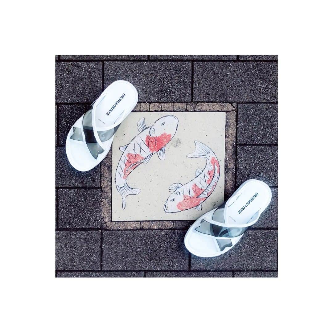 ブルーノボルデーゼのインスタグラム