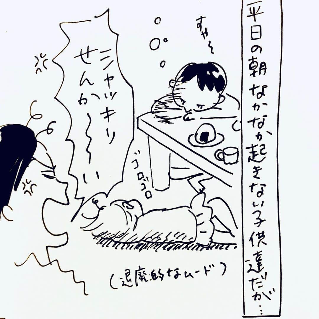 カフカヤマモトさんのインスタグラム写真 - (カフカヤマモトInstagram)「最近バッタバッタしておりますがみんな元気です😊」7月6日 23時55分 - cafca_yamamoto