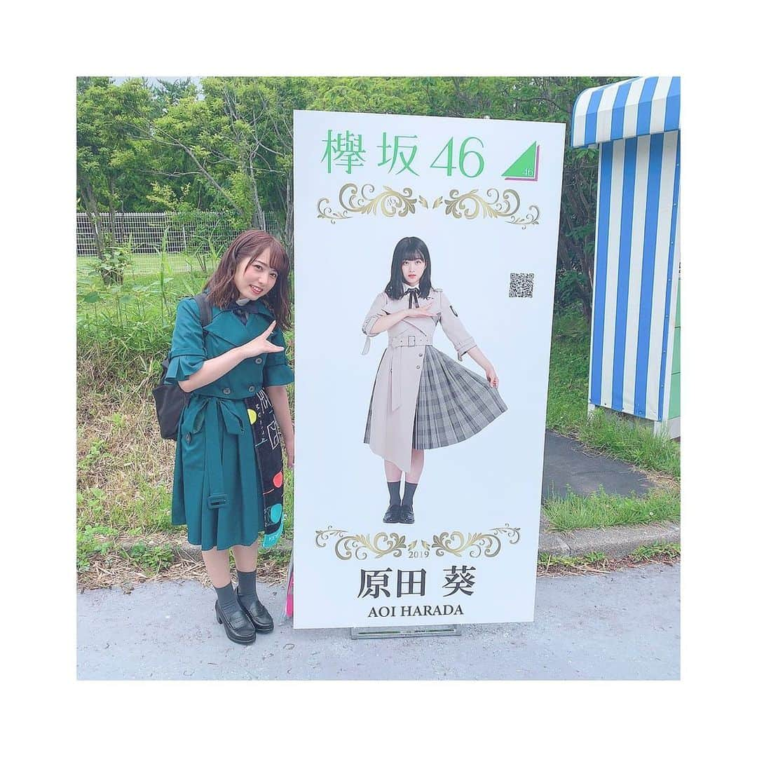 前田美里さんのインスタグラム写真 - (前田美里Instagram)「今年もパネル回り楽しかった☺️ . #欅共和国 #欅共和国2019 #欅坂46 #富士急ハイランド #欅コス #欅坂コス #アンビバレント #欅坂46好きな人と繋がりたい #欅坂46女ヲタ #コスプレ #keyakizaka46 #costume #japanesegirl #instalike #followme #japan」7月7日 0時08分 - maeda_misato