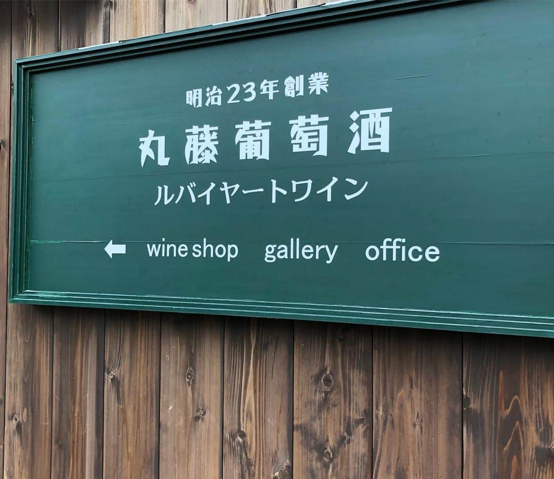菊間千乃さんのインスタグラム写真 - (菊間千乃Instagram)「丸藤葡萄酒さんでは、畑を見せて頂いて、醸造のお話しも伺って、ティスティング💕 スクールで行くと、個人で行くより、いろいろ見せてもらえるので、発見がたくさんありました！とのお声も頂きました😊」7月7日 0時41分 - kikuma_yukino