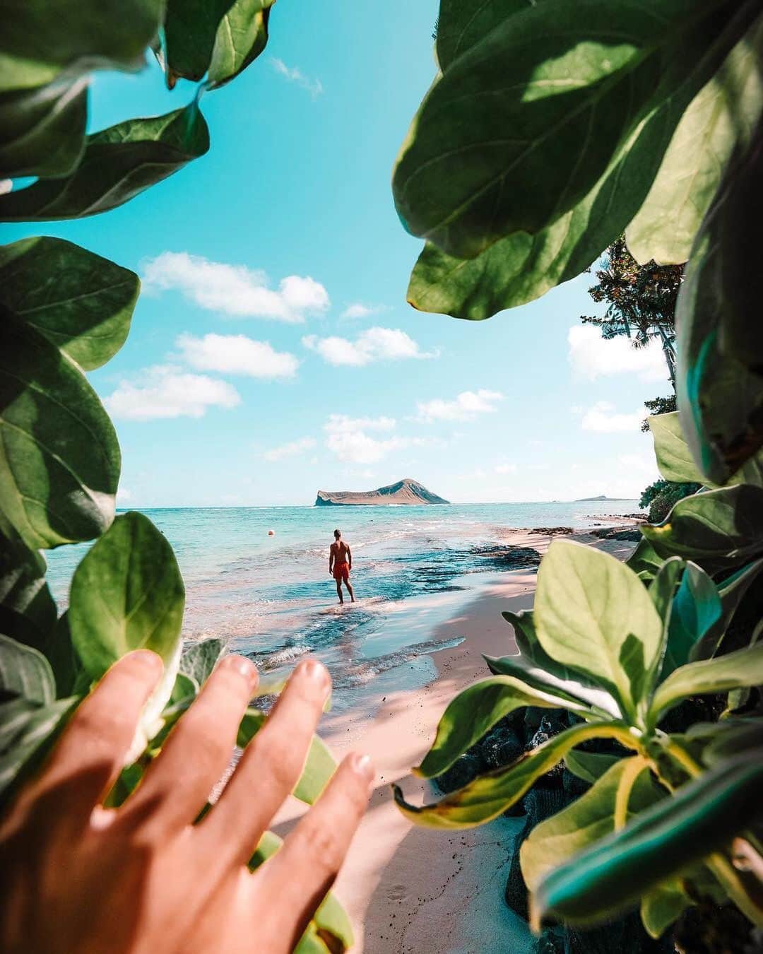 PicLab™ Sayingsさんのインスタグラム写真 - (PicLab™ SayingsInstagram)「Exploring the Hawaiian Islands with @nashhagen」7月7日 1時10分 - paradise