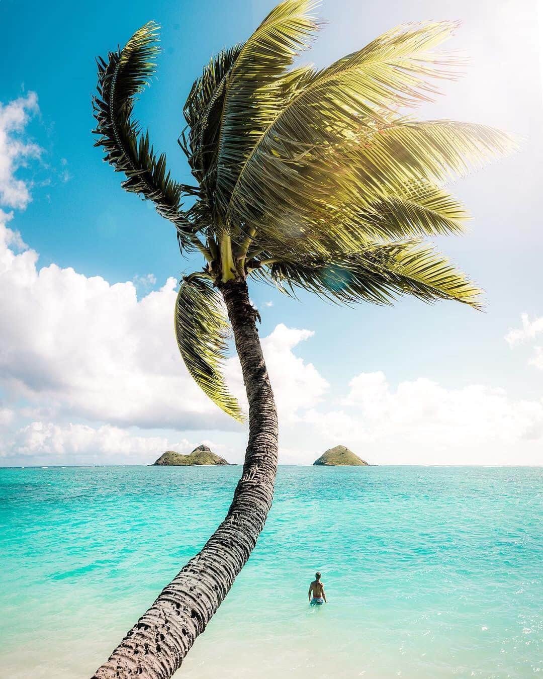 PicLab™ Sayingsさんのインスタグラム写真 - (PicLab™ SayingsInstagram)「Exploring the Hawaiian Islands with @nashhagen」7月7日 1時10分 - paradise
