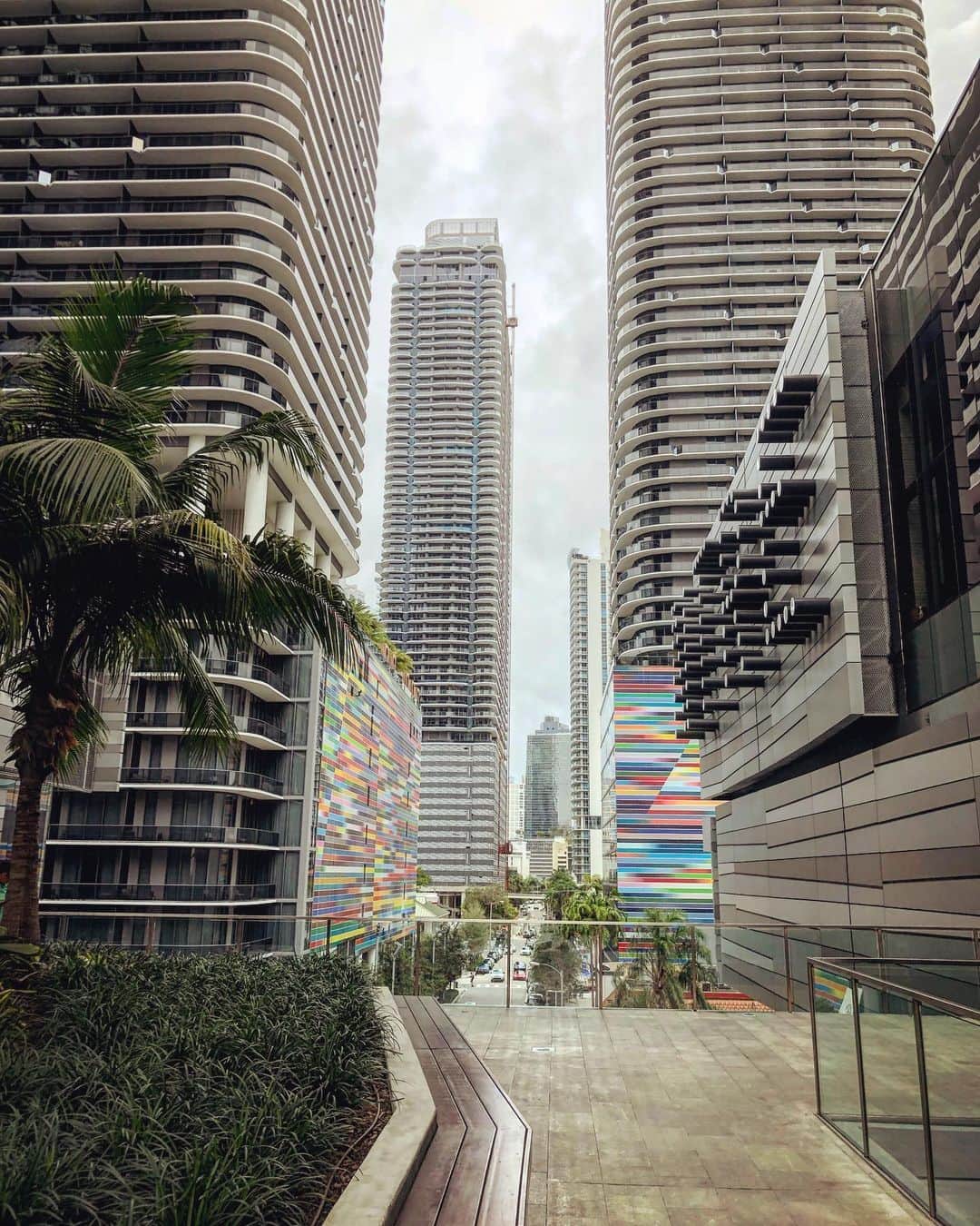 ティモシー・ドレンスキーのインスタグラム：「Miami views.」