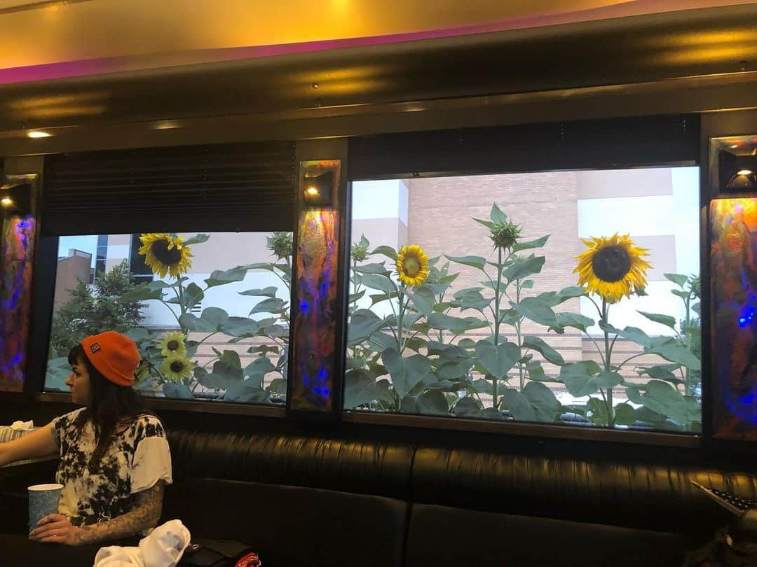 カーリー・レイ・ジェプセンさんのインスタグラム写真 - (カーリー・レイ・ジェプセンInstagram)「Tour bus parked us with a flowery view this morning. 🌻🌻🌻」7月7日 1時22分 - carlyraejepsen