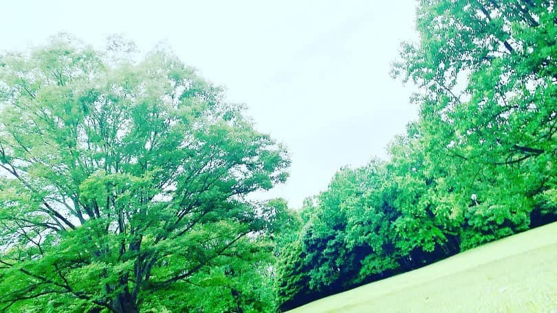 渡部瑞貴さんのインスタグラム写真 - (渡部瑞貴Instagram)「思わず広くて気持ちくて寝そべる笑 ボーーー  実はここで色々やりますねん 近々発表しまーす！  #芝生#公園#寝そべる#ぼーっとする#空#見上げる#」7月7日 1時37分 - watanabemizuki_official