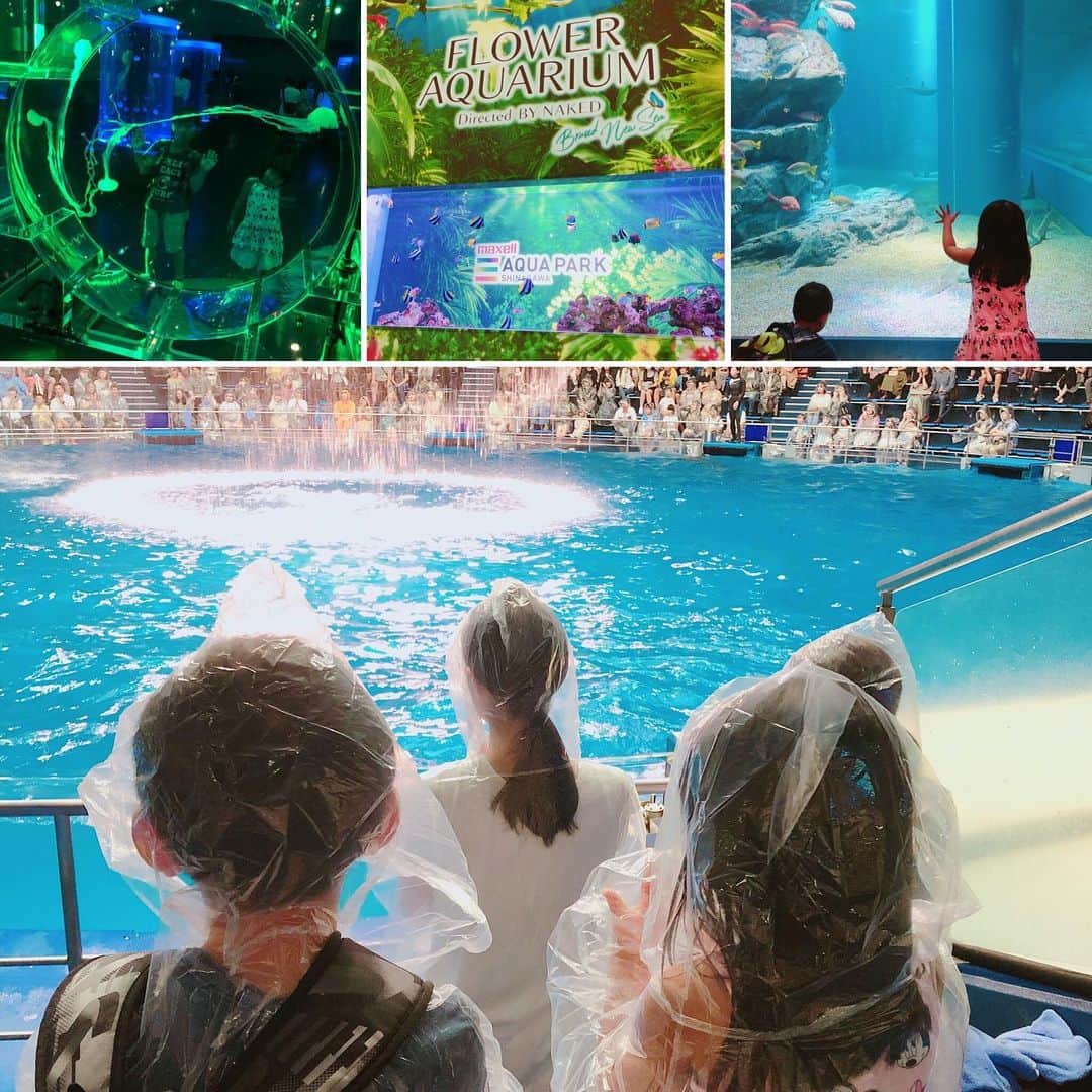のインスタグラム：「品川アクアパーク🐬✨🌈 今回はイルカちゃんに 水をかけてもらいにいってきました❣️ ・ ・ 🐬💦💦💦 ・ ・ レインコートがあっても なぜかびしょ濡れ😂 ・ ・ 勲章の🎖水かけ💖 イルカちゃん ありがとうございました😊🙏💖 #山内智恵 #マキろん #品川アクアパーク #水族館 #イルカ #🐬 #イルカショー  #びしょ濡れ  #たのしかった」