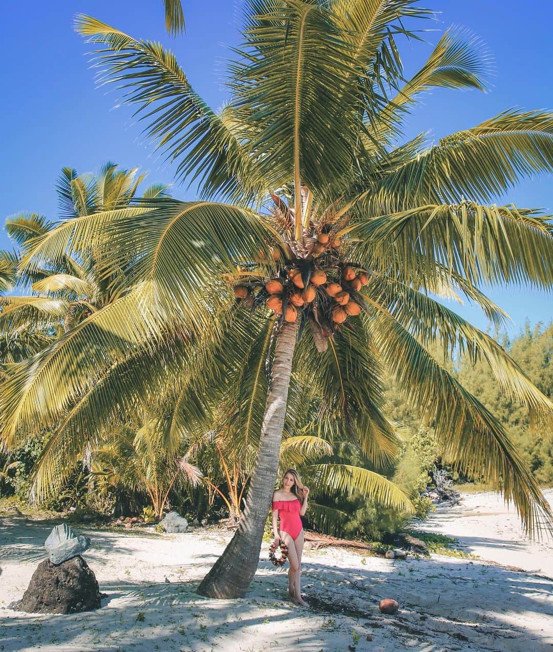 クリスタル・ハリスさんのインスタグラム写真 - (クリスタル・ハリスInstagram)「⁣ ⁣ The coconut palm is known as “the tree of life” because all parts of the tree are useful. It shelters, protects, feeds, and heals. I definitely wish our California palms grew coconuts. I also hope everyone is staying safe with the Californian earthquakes going on. @pacificaitutaki⁣ ⁣ @cookislands 🏝 ⁣ ⁣ #pacificaitutaki #pacificresort #aitutaki #beautifuldestinations #explore #islandlife #vacation #cookislands #islandlife #beachtime #waves #beachvibes #beach #beachlife #travel #summer #beachside #ocean #sea #paradiseonearth #paradisefound #instatraveling #adventure #landscape #igtravel #traveladdict ⁣」7月7日 2時50分 - crystalhefner