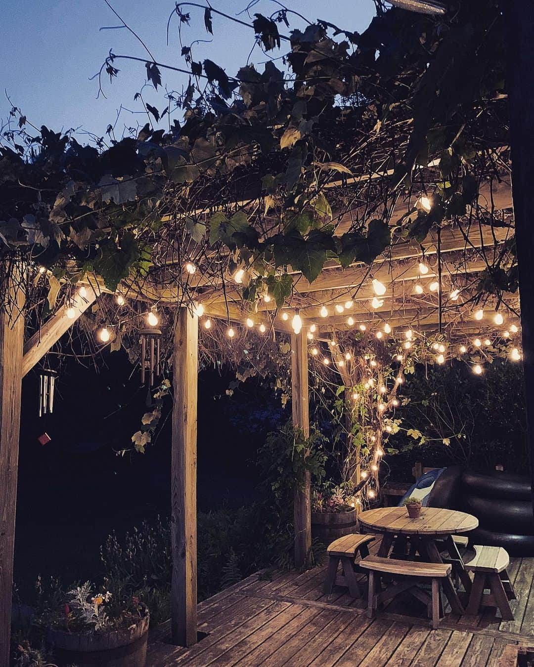 サマンサウィルスのインスタグラム：「Summer evenings...」
