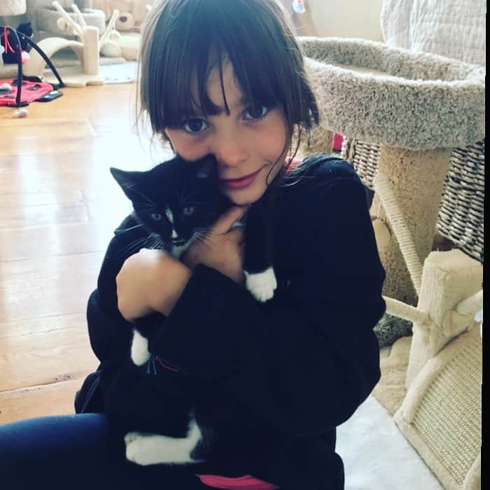 メアリー・マコーマックのインスタグラム：「Just look at this nonsense.  To adopt contact @bethostern. (the kitten not the kid).」