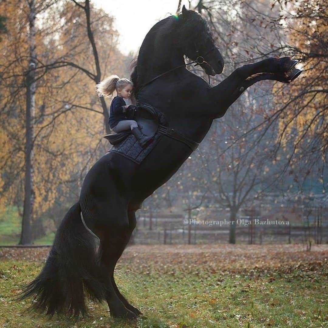 WildLifeのインスタグラム：「😍 Photo by: @olga_bazhutova」
