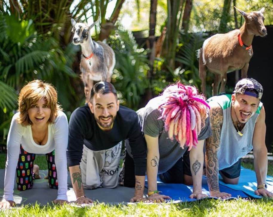 リサ・リナさんのインスタグラム写真 - (リサ・リナInstagram)「Let’s not ever forget that I got to do Goat Yoga at the Chateau Marmont with @themarcjacobs and @chardefrancesco #lanawachowski and Dance with @rupaulofficial and @jeffreybchapman 💃🏻 all in the same freaking week!!!!!! ❤️🧡💛💚💙💜 @hellocrittercare #LivingMyBestLife」7月7日 5時09分 - lisarinna