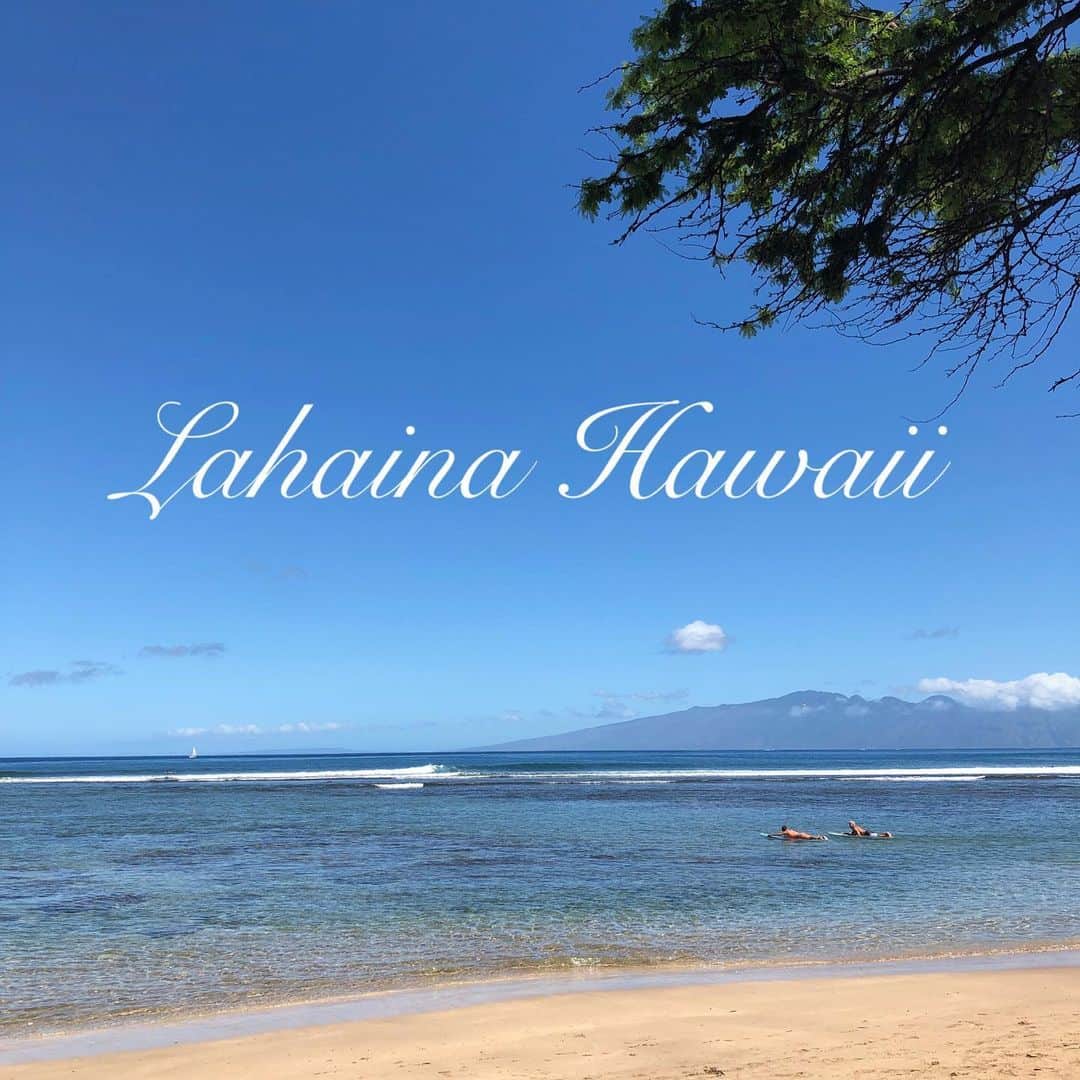 細田海友のインスタグラム