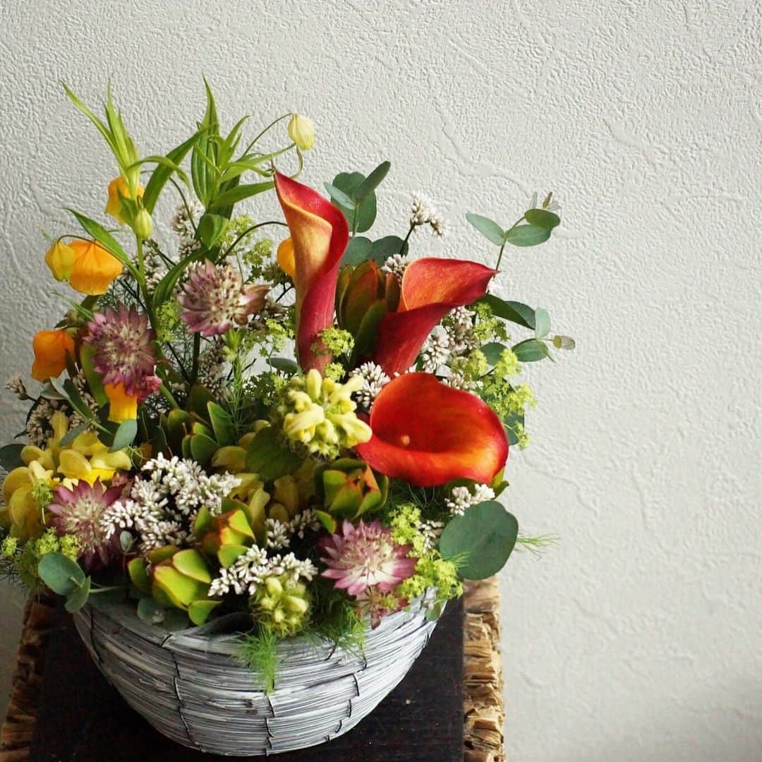 MILLE ECLAT.のグルメインスタ