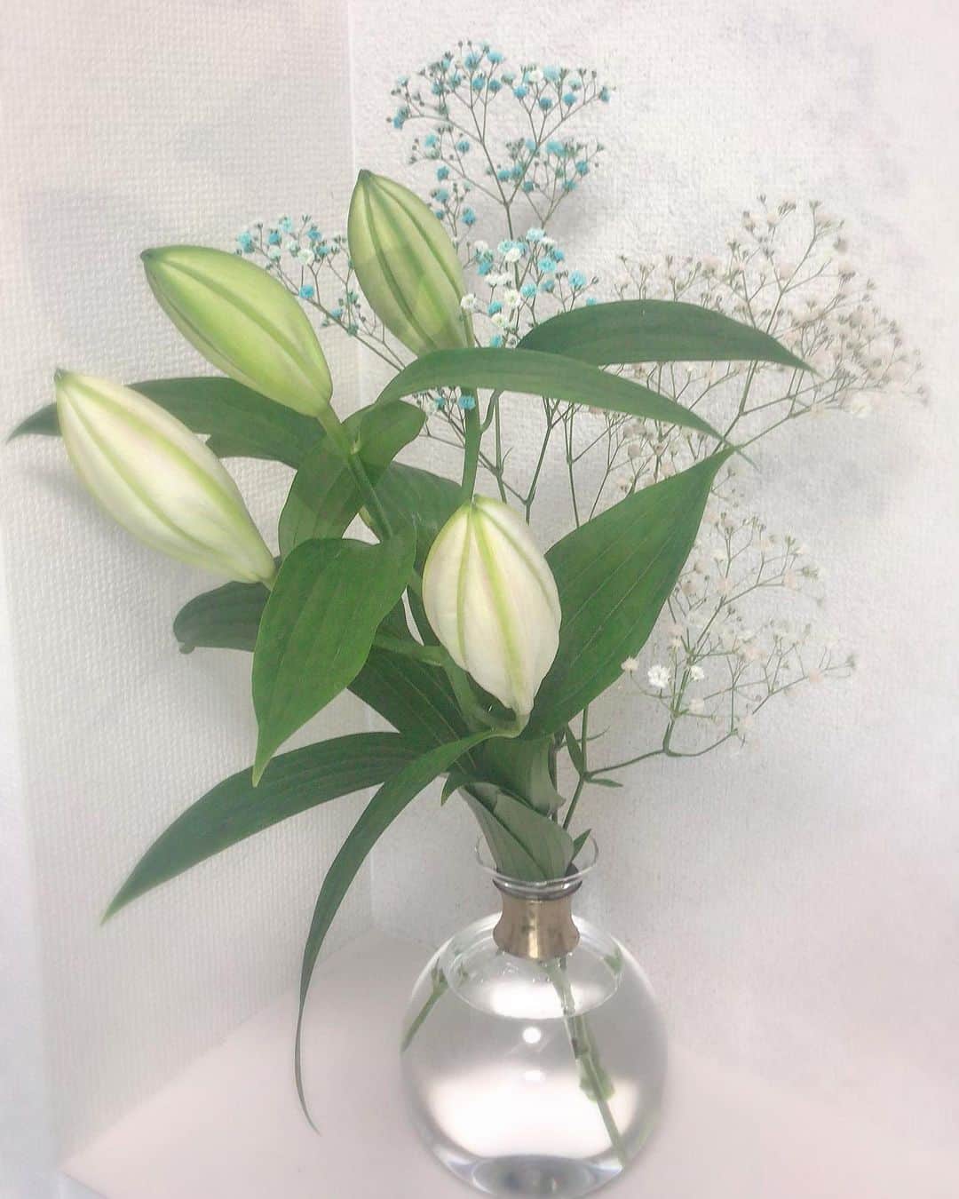 のインスタグラム：「᯽᯽᯽᯽᯽ #お花のある生活 #今週のお花」