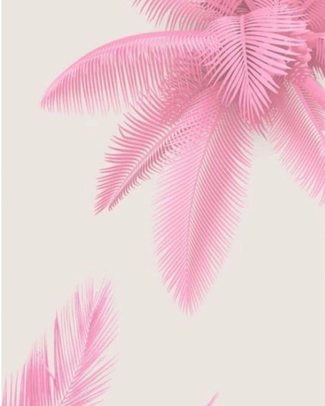 スターメラのインスタグラム：「Pink will always be pink!! Happy Week-end #weekendvibes #dimanche #inspiration  #holidays #starmelauk #trending #pink#palmtrees#beachvibes #lovesummerhateeverythingelse #instafashion #summerallyearlong #summervibes #permanentvacation #starmela#mystarmela」