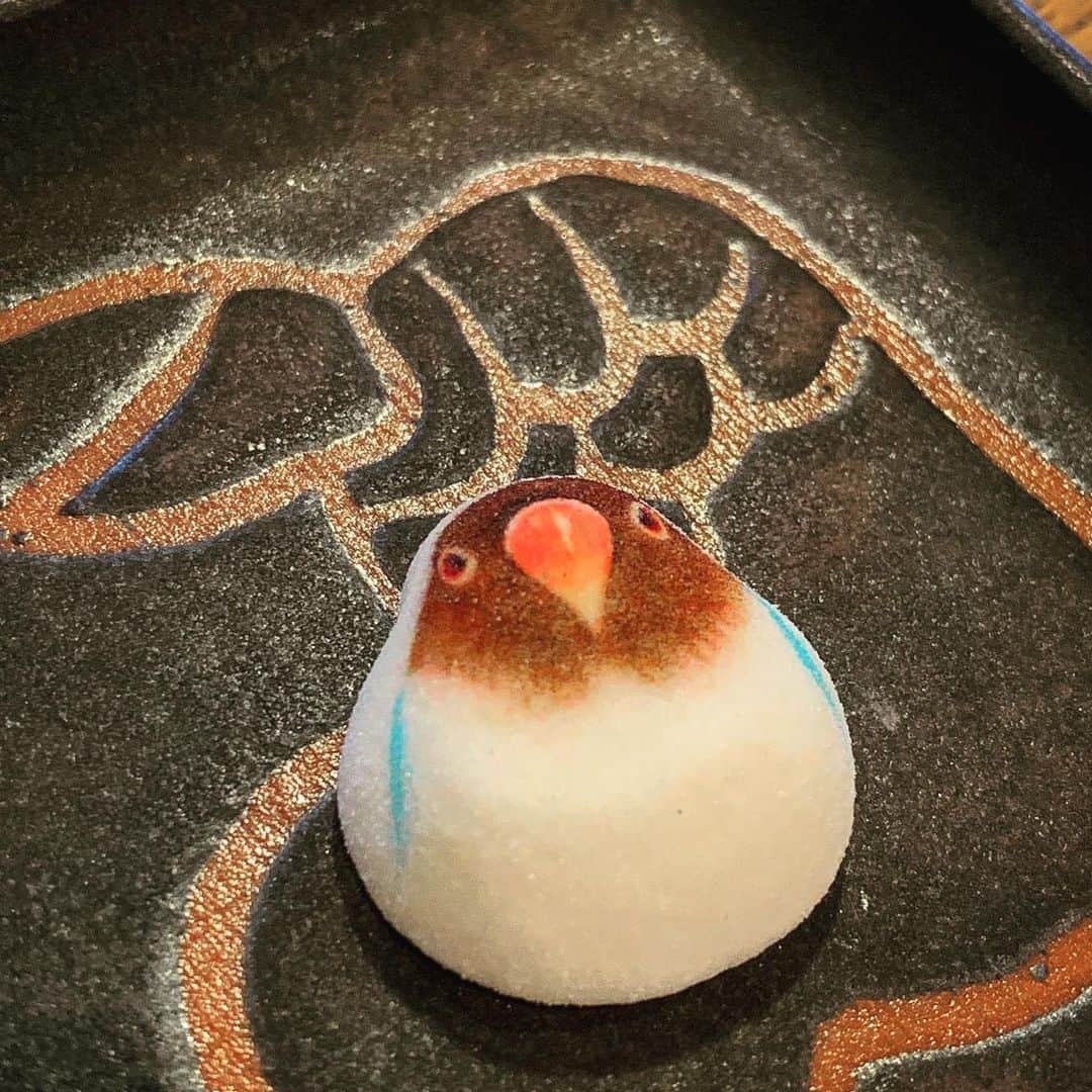 安倍吉俊のインスタグラム：「インコのほうずい。食べるのためらう」