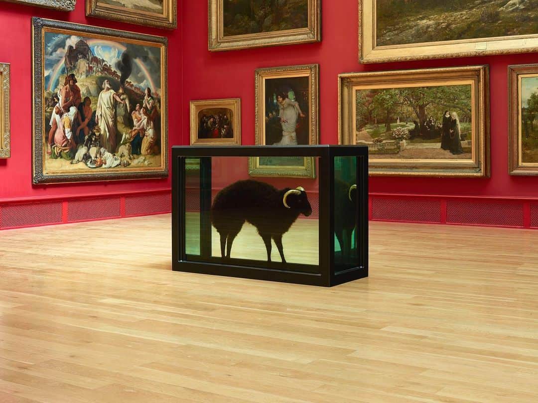 ガゴシアン・ギャラリーさんのインスタグラム写真 - (ガゴシアン・ギャラリーInstagram)「Damien Hirst’s “Black Sheep with Golden Horns” is now on view at Leeds Art Gallery as part of Yorkshire Sculpture International. Part of Hirst’s iconic formaldehyde series, the work features a black sheep with golden horns, positioned within a steel-framed vitrine. Find out more via the link in our bio!  __________ #DamienHirst #YSP #YSI2019 #Gagosian @leedsartgallery @damienhirst @yspsculpture @ysi_2019 Damien Hirst, "Black Sheep with Golden Horns," 2009 © Damien Hirst and Science Ltd. All rights reserved, DACS 2019. Photo: Prudence Cuming Associates」7月7日 17時05分 - gagosian
