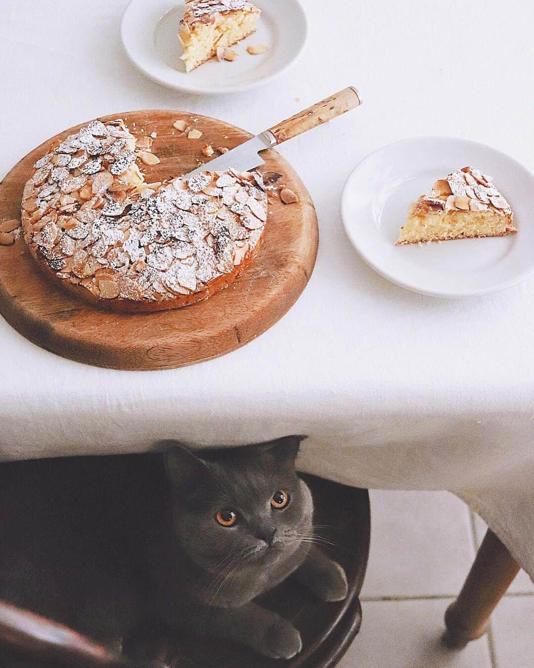 樋口正樹さんのインスタグラム写真 - (樋口正樹Instagram)「Almond Cake . 日曜日の朝からケーキ。 パウンドケーキ生地に スライスアーモンドを たっぷりのせて焼いて。 良い食感と素朴な風味。 ＆下から伺うボナさん。 . . . #朝ケーキ #手作りケーキ #おやつとボナさん #アーモンドケーキ #カリフォルニアアーモンド #eねアーモンド #almondcake #thebakefeed #bakestagram #weekendbaking」7月7日 8時33分 - higuccini