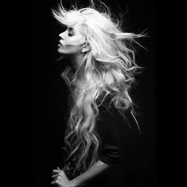 アリソン・ハーバードのインスタグラム：「🐾」