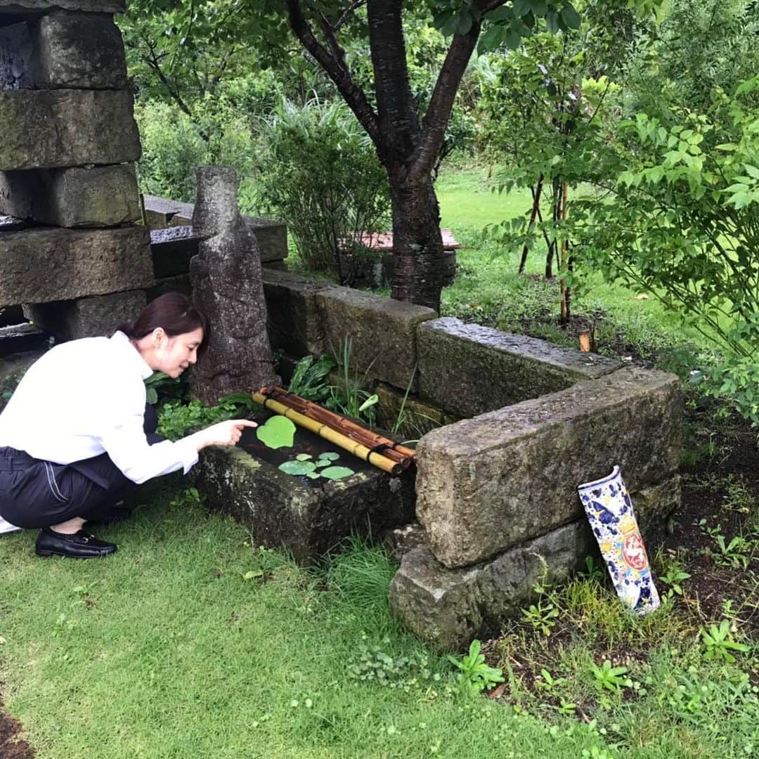 石田ゆり子さんのインスタグラム写真 - (石田ゆり子Instagram)「七夕🎋  きのう伺った、 黒田泰蔵さんの アトリエとお住いの 素晴らしさは 言葉にできないほどでした。 お庭もお部屋の中も ほんとうに 素敵。 あぁ 素敵。 ほんとうにそればかり！ ためいき。 #黒田泰蔵さんの世界」7月7日 10時37分 - yuriyuri1003