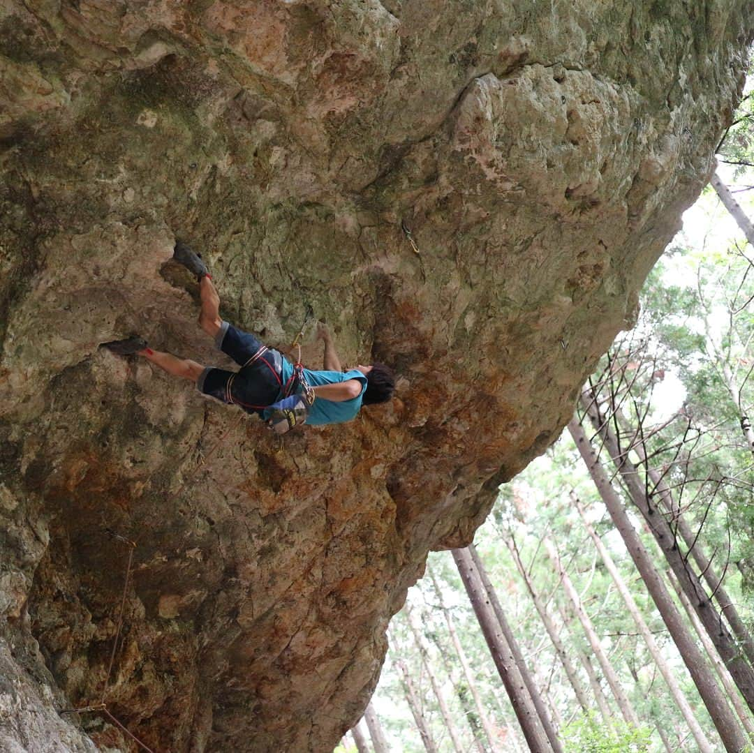 濱田健介さんのインスタグラム写真 - (濱田健介Instagram)「I went to Hourai for lead climbing. It was little wet, but enjoyed some routes. It was good for the rainy season. 昨日は梅雨だけど、ぎり行けそうだな、と思って久々の鳳来。 湿気がやばくてヌメヌメだったけど、人も少なくてハイカラ岩なんて貸し切りやし、楽しかった。持久力もうちょっと戻さないとな。 @rockmasterhq  @organicclimbing  @unparallelup  @nogradjustfeeling  @camp1889」7月7日 10時48分 - hamaken87